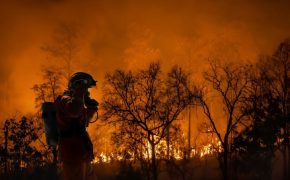 Incendio en el Montgó